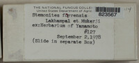 Image Associated With the Occurence